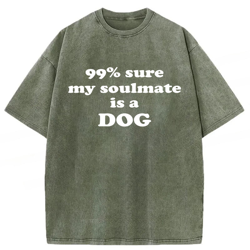 99% Sure My Soulmate Is A Dog Washed Unisex Tee