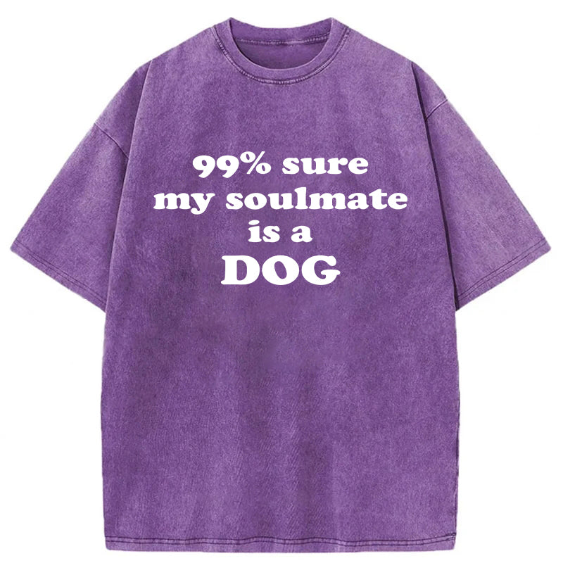 99% Sure My Soulmate Is A Dog Washed Unisex Tee