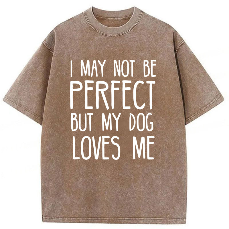 I May Not Be Perfect Washed Unisex Tee