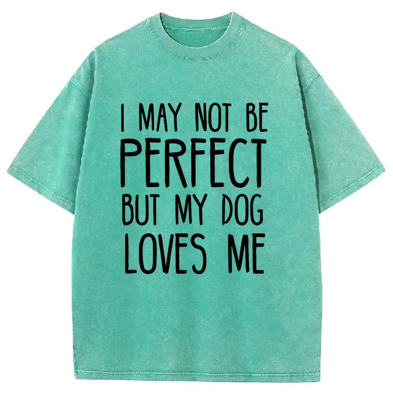 I May Not Be Perfect Washed Unisex Tee