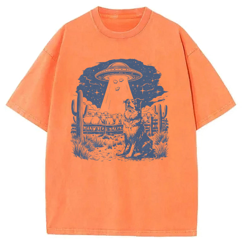 Border Collie Washed Unisex Tee