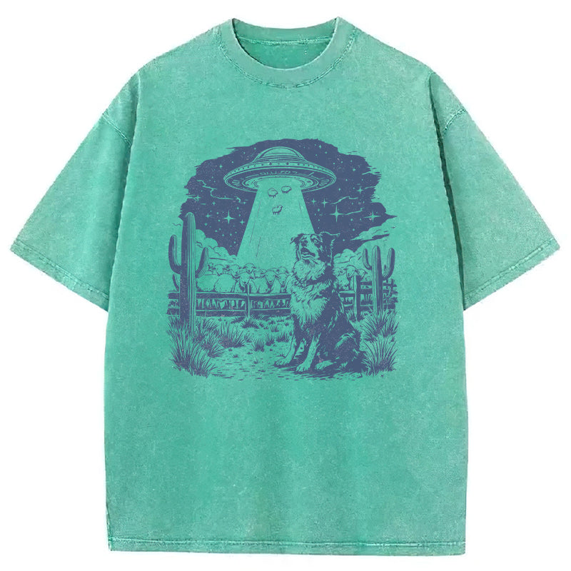 Border Collie Washed Unisex Tee