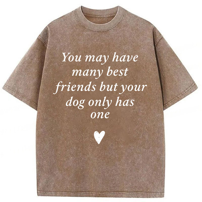 Your Dog Only Has One Washed Unisex Tee