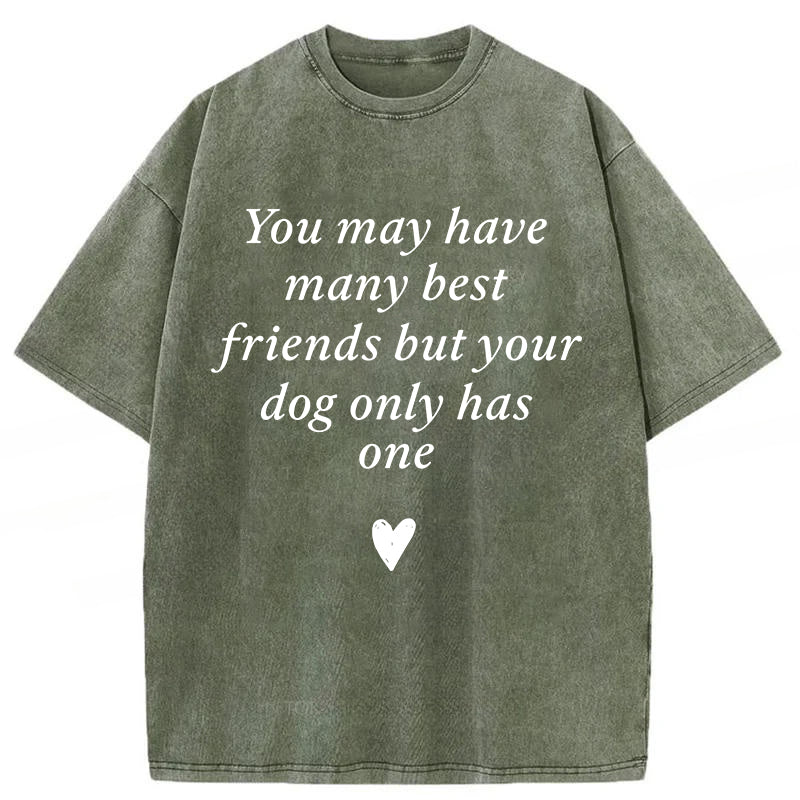 Your Dog Only Has One Washed Unisex Tee