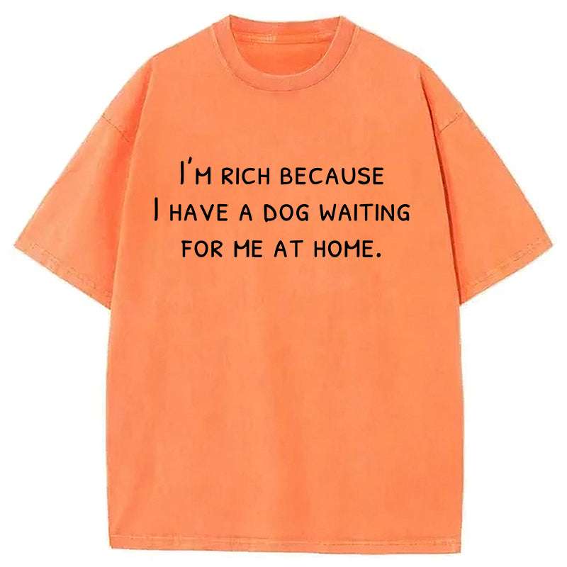 I Have A Dog Waiting For Me At Home Washed Unisex Tee