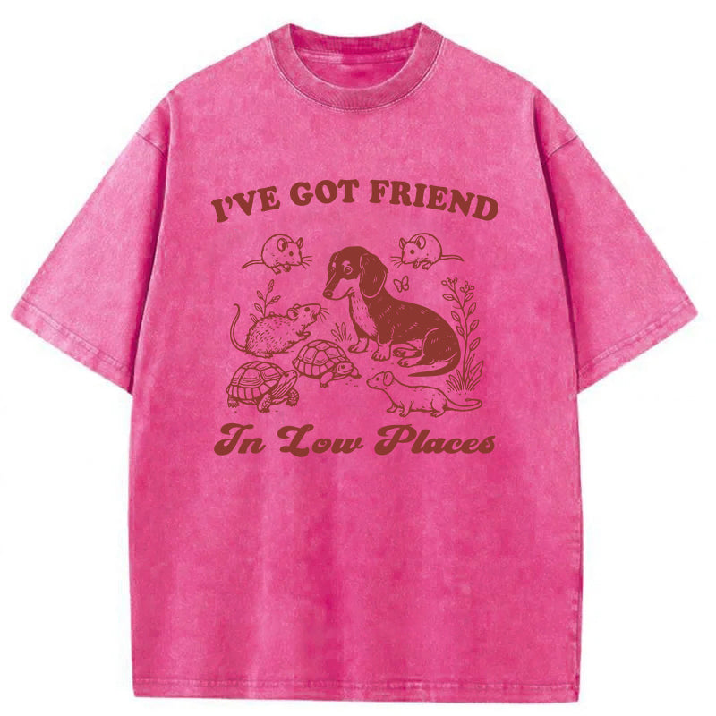 Got Friends In Low Places Washed Unisex Tee