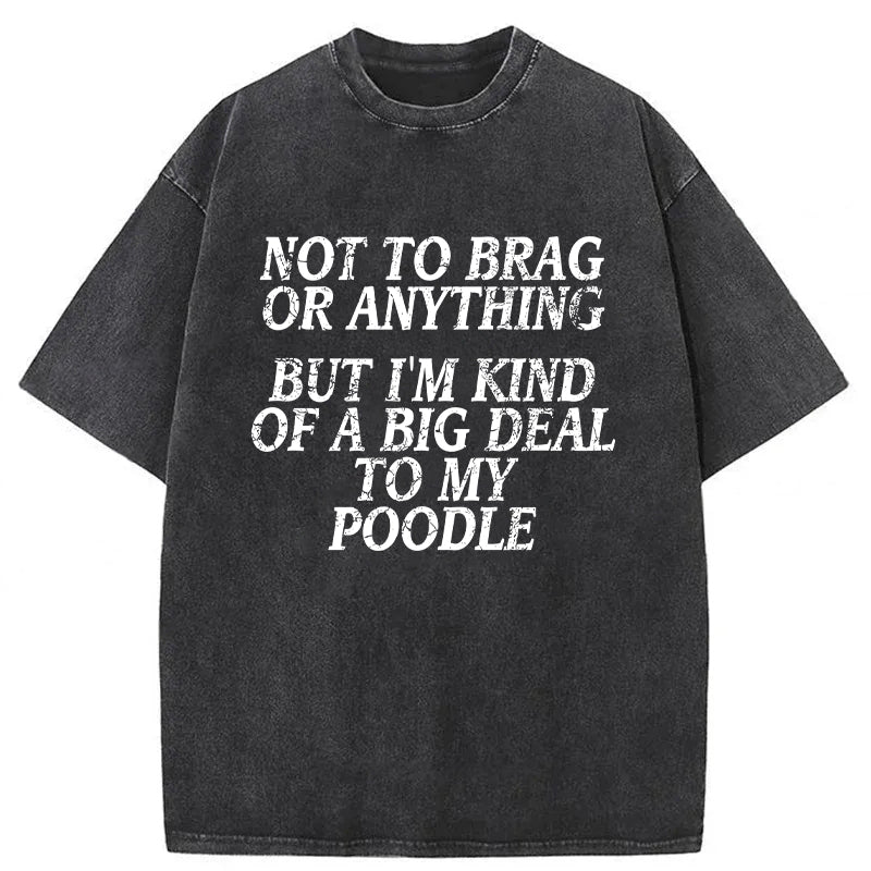I'm A Big Deal To My Poodle Washed Unisex Tee