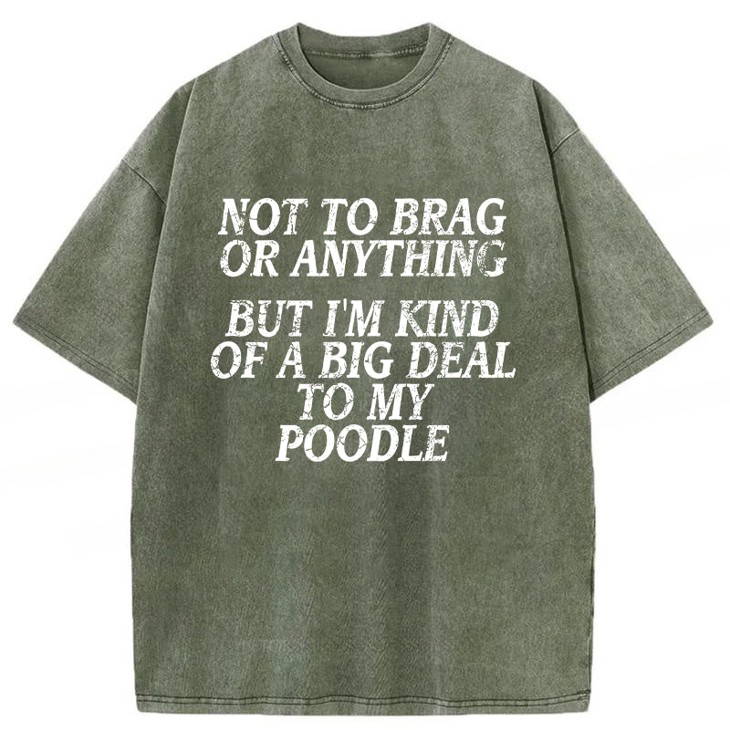 I'm A Big Deal To My Poodle Washed Unisex Tee