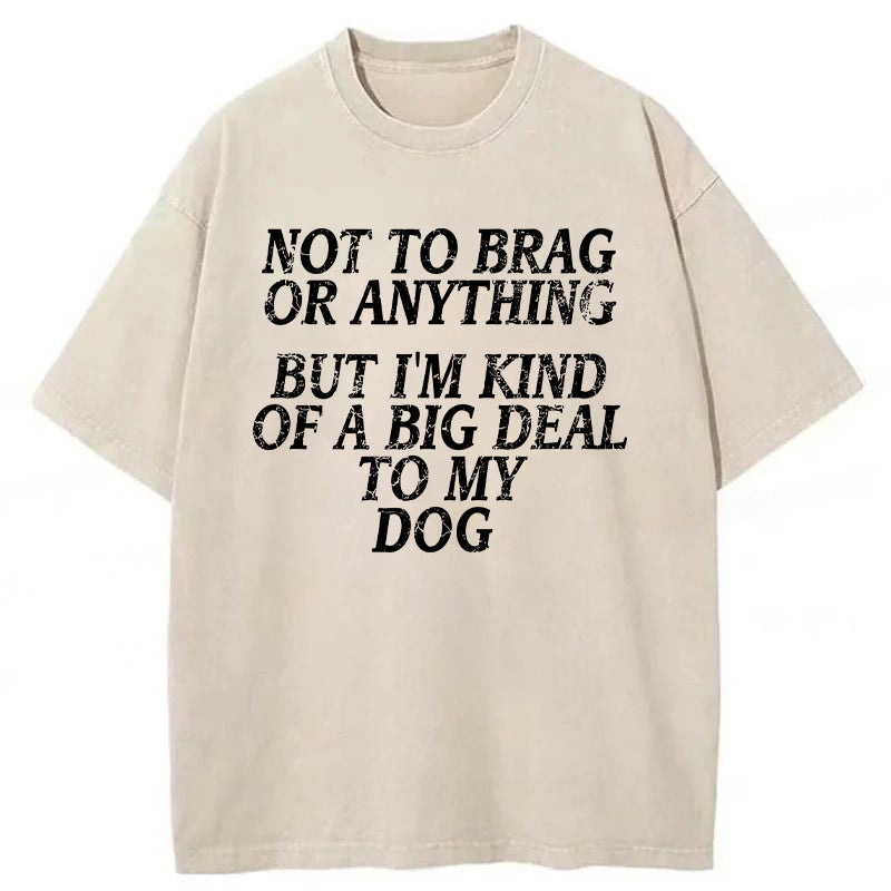 I'm A Big Deal To My Dog Washed Unisex Tee