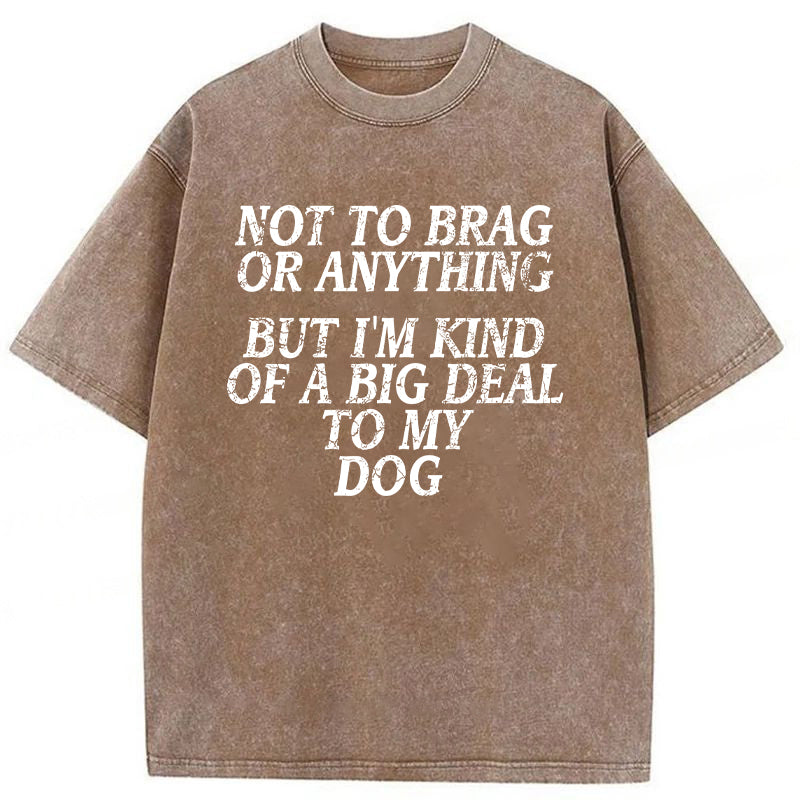 I'm A Big Deal To My Dog Washed Unisex Tee