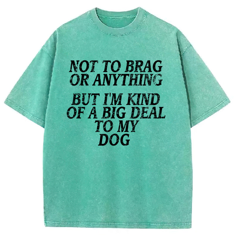 I'm A Big Deal To My Dog Washed Unisex Tee