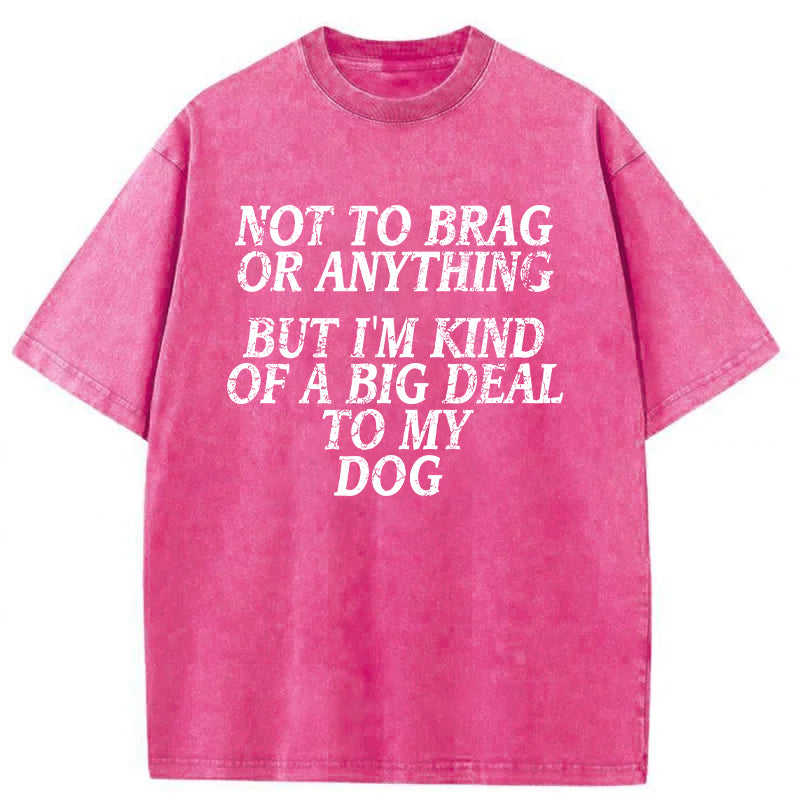 I'm A Big Deal To My Dog Washed Unisex Tee