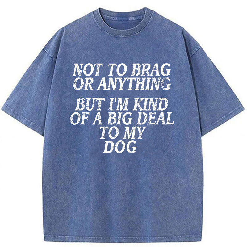 I'm A Big Deal To My Dog Washed Unisex Tee