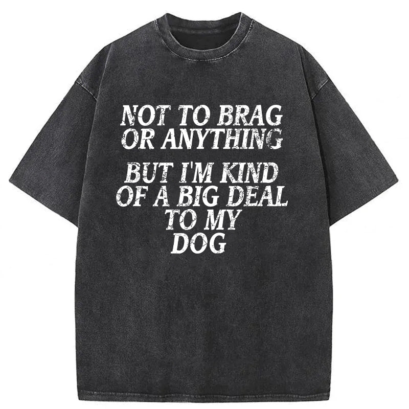 I'm A Big Deal To My Dog Washed Unisex Tee