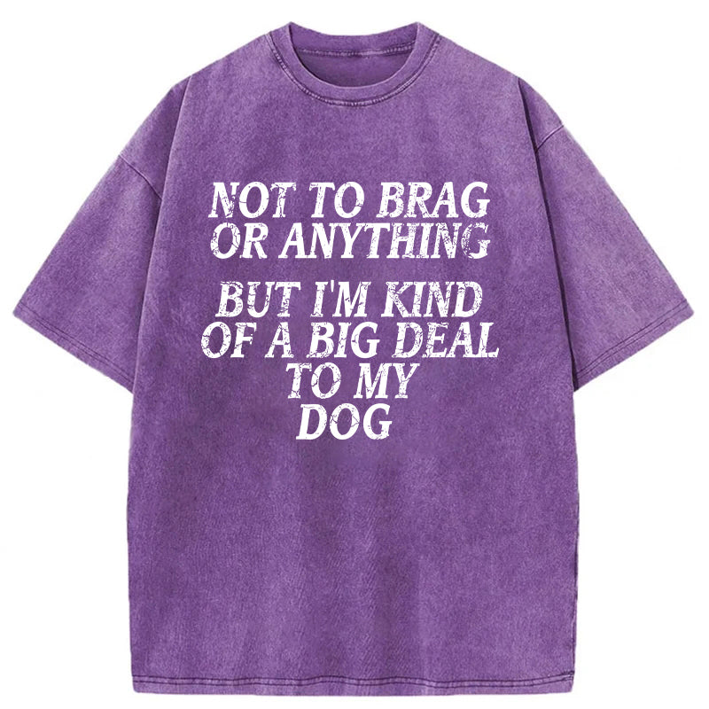 I'm A Big Deal To My Dog Washed Unisex Tee