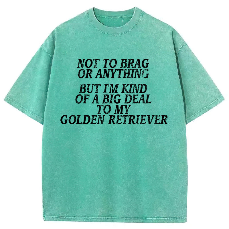 I'm A Big Deal To My Golden Retriever Washed Unisex Tee