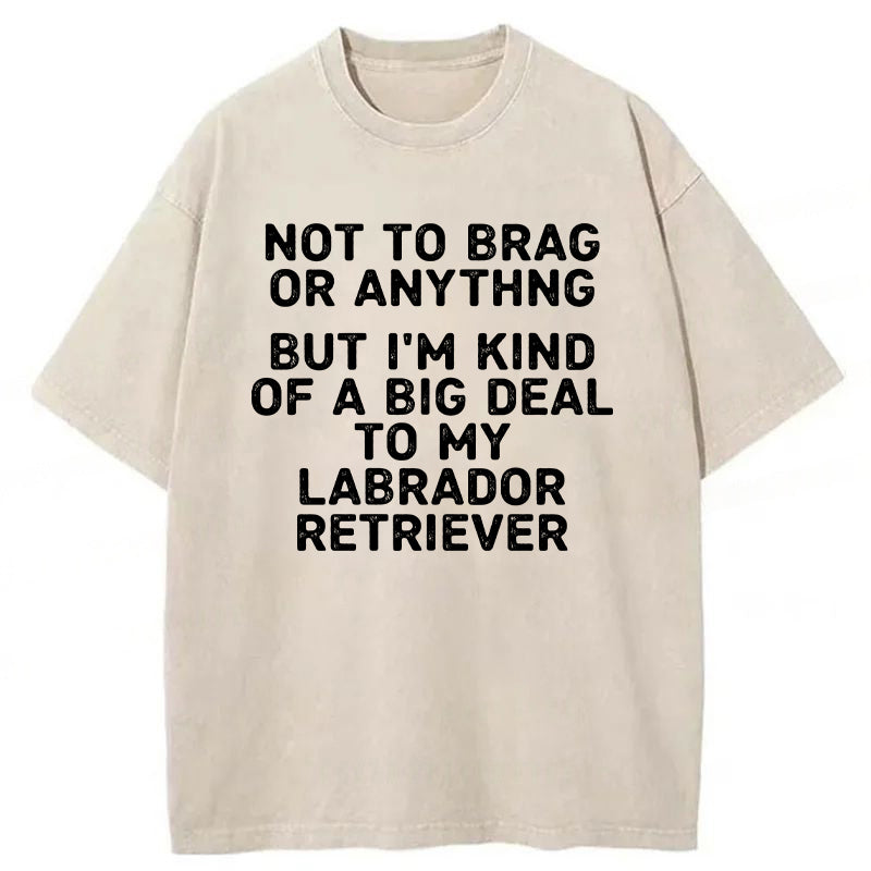 I'm A Big Deal To My Labrador Retriever Washed Unisex Tee