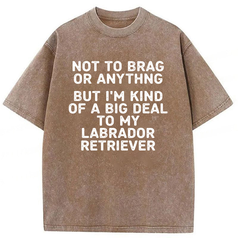 I'm A Big Deal To My Labrador Retriever Washed Unisex Tee