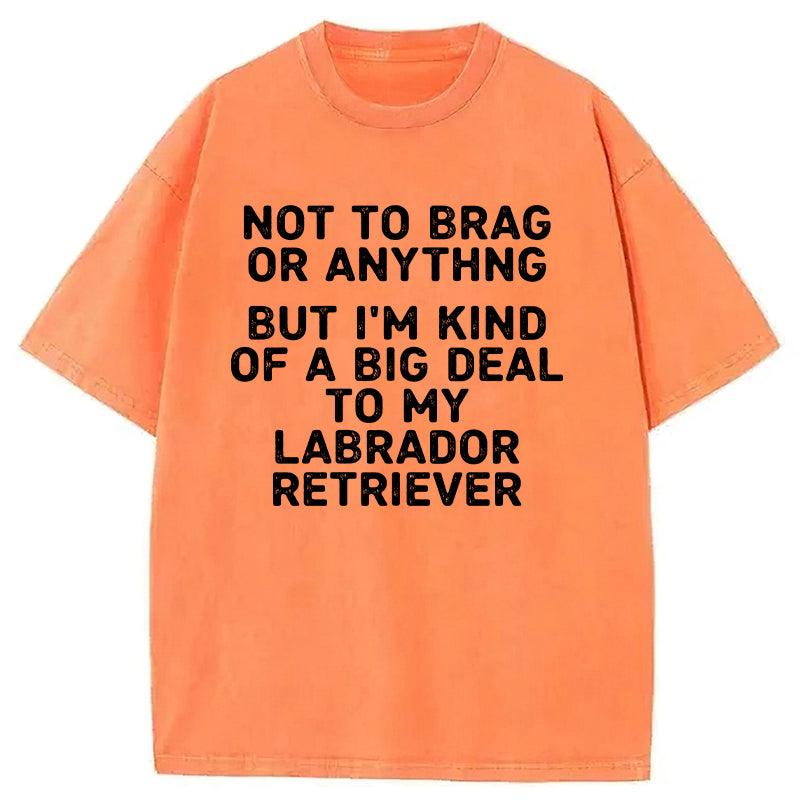 I'm A Big Deal To My Labrador Retriever Washed Unisex Tee