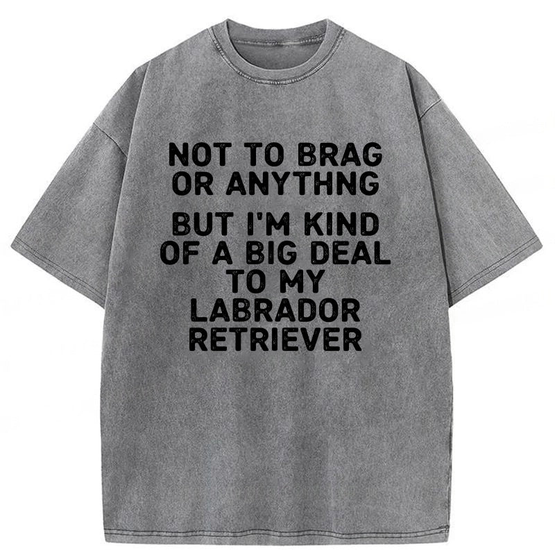 I'm A Big Deal To My Labrador Retriever Washed Unisex Tee