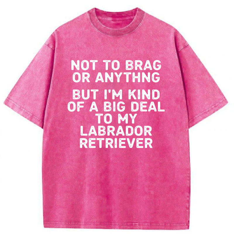 I'm A Big Deal To My Labrador Retriever Washed Unisex Tee