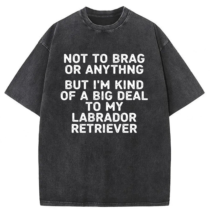 I'm A Big Deal To My Labrador Retriever Washed Unisex Tee