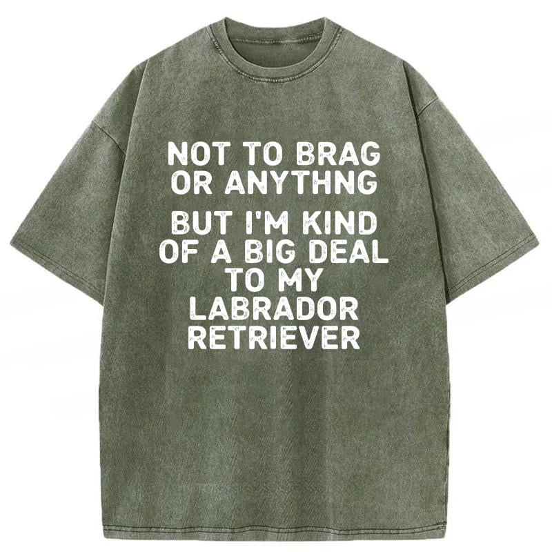 I'm A Big Deal To My Labrador Retriever Washed Unisex Tee
