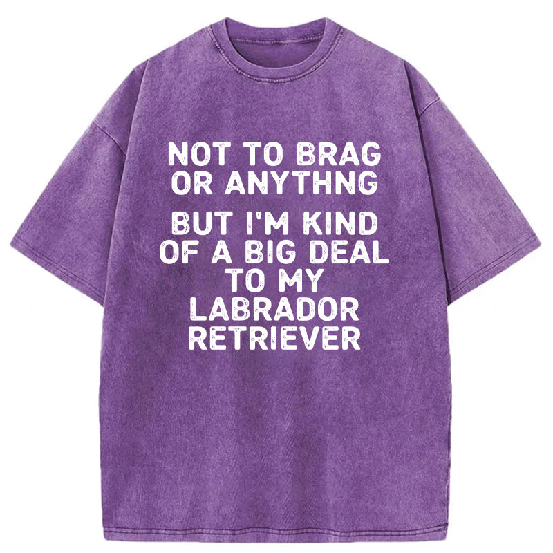 I'm A Big Deal To My Labrador Retriever Washed Unisex Tee