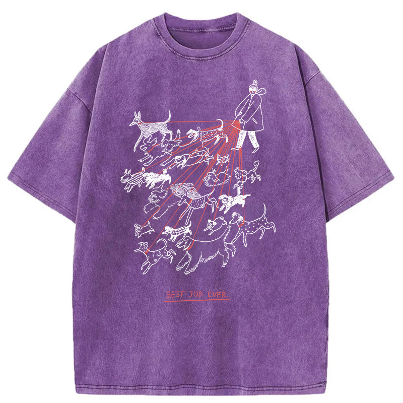 Best Job Ever Washed Unisex Tee