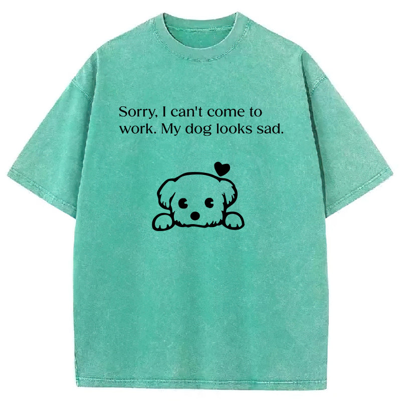Sorry I Can't Come To Work Washed Unisex Tee