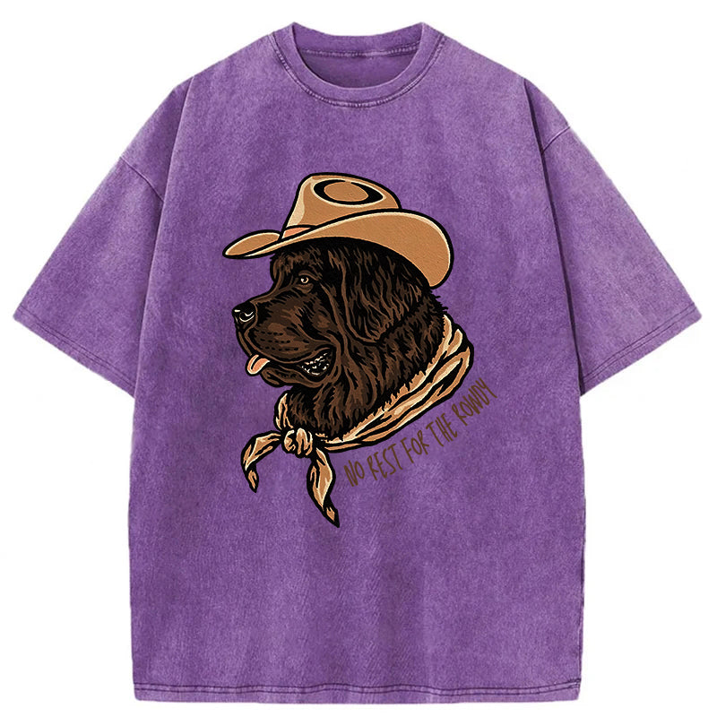 No Rest For The Rowdy Washed Unisex Tee